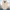 WW | Wintermantel mit schmalem Schnitt