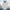 WW | Wintermantel mit schmalem Schnitt