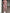 WW | Stilvolle Jumpsuit Mit Eleganter Passform