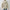 WW | Lässiger Herbst Teddy Fleece Hoodie für Frauen