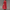 WW | Sommerjacke Für Damen