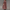WW | Sommerjacke Für Damen