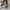 WW | Damen Leder Sneaker