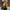WW | Slim Fit | Reißverschluss | Bikerjacke | Damenjacke