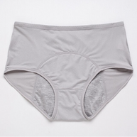 WW | Alldry Auslaufsichere Höschen Für Damen 3er Pack