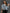 – Leoparden-Denim-Jacke