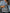 – Leoparden-Denim-Jacke