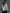– Leoparden-Denim-Jacke