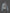 – Leoparden-Denim-Jacke