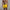 WW | Stilvolle Badehose