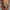 WW | Stilvolle Badehose