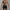 WW | Stilvolle Badehose