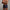 WW | Stilvolle Badehose