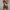 WW | Stilvolle Badehose