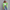 WW - Detaillierte Jeansjacke