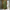 WW | Weites Modell Baumwolle Maxikleid Sommerkleid
