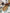 YachtLoafers | Elegante und bequeme Lederschuhe