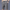 WW | Dehnbare Herrenshorts