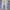 WW | Dehnbare Herrenshorts