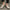 WW | Herren Luxe Leder Frosted Loafers