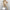 WW | Trainingsanzug | 2-teilig schicker und bequemer Damen-Loungewear