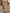 Bequem und stilvolle Winterjacke