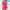 WW | Push-up – Hohe Taille – Badeanzug