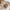 WW | Unisex Leder Boston Sandalen: Stil und Qualität in einem