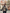WW - Damen oversized cropped Jacke mit weit geschnittenen Hosen