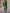 WW | Eleganter Jumpsuit aus Baumwolle