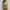 WW | Bikini Satz