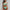 WW | Bikini Satz