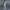 Stilvoller Bodycon Jumpsuit