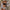 WW-in-1-Bikini-Set mit Blumenmuster (Bestseller)