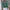 Damen Strickoberteil mit modernem Ajour-Muster und Rundhalsausschnitt WW