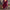 Damen Abendkleid mit funkelnden Details und elegantem Schnitt WW