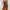 Damen Hochwertiger Jumpsuit mit schulterfreiem Design und weitem Bein WW