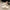Damen Flauschige Hausschuhe mit bequemer Polsterung und weichem Obermaterial W&W