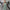 Damen All-in-One Jumpsuit mit tiefem Ausschnitt und figurbetontem Schnitt WW