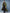 Herren Trenchcoat WW