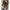 Damen Strickjacke mit Punktmuster WW