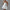 WW | Sommer Korsett Mini Kleid