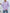 Damen Strickpullover mit trendy Zopfmuster WW