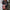 Damen Strickkleid mit festlichem Rentier-Motiv und weichem Material WW