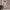 Damen bequeme Sweatpants mit Kapuze und Raffung WW