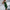 Damen Bodycon Wickelkleid mit asymmetrischem Saum und dekorativem Knoten W&W