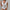 Damen Spitzen-Bodysuit mit tiefem V-Ausschnitt und romantischer Schnittführung WW