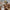 Damen Strickweste mit kontrastierenden Details und Taschen WW