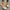 Damen Elegante Ballerinas mit funkelndem Strass-Detail und komfortabler Sohle W&W