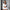 Damen Sportliches Kurz-Crop-Set mit Reißverschluss und elastischem Bund WW